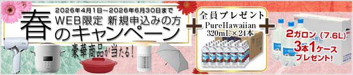 WEB限定 新規お申込みの方 春のキャンペーン！　期間：2026年4月1日～2026年6月30日